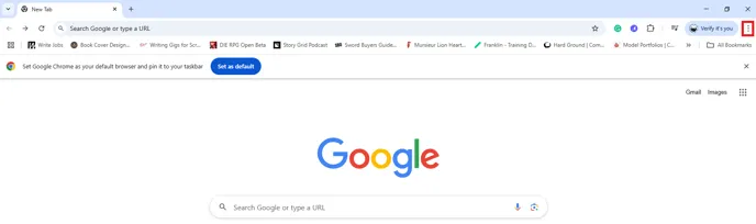 Google Chrome Cookies 1